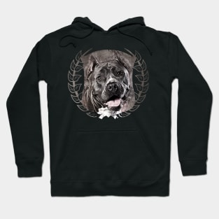 American Staffordshire Terrier - Amstaff Hoodie